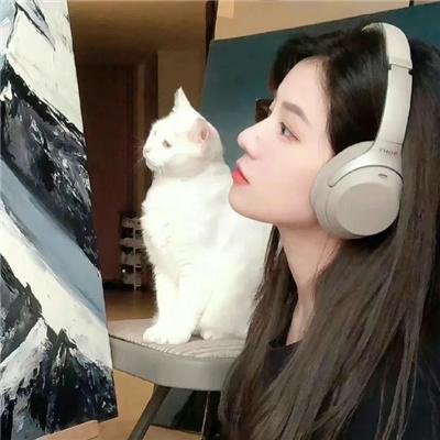 屋顶上的轻骑兵