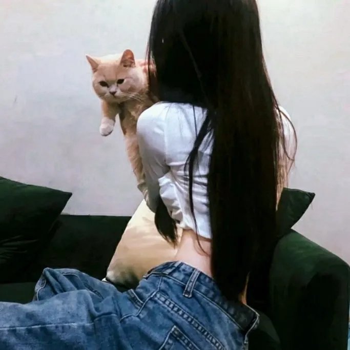 马约尔大街